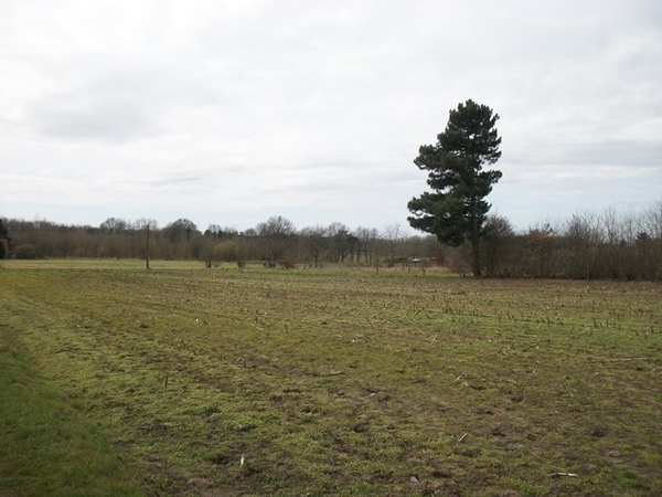 12-Natuurgebied rondom Diest