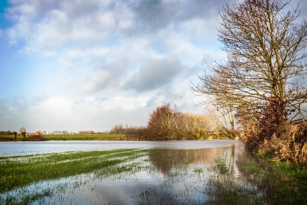 overstroomde weide foto1