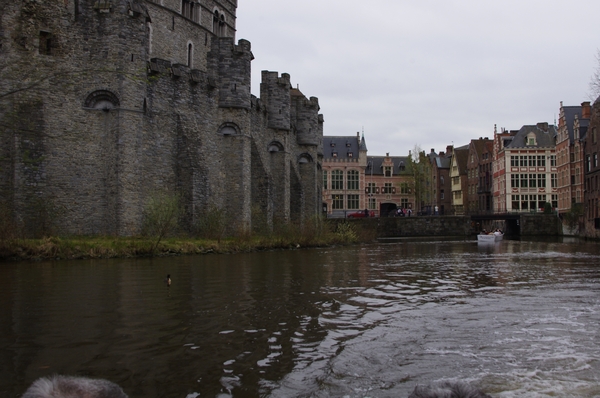 IMGP0732