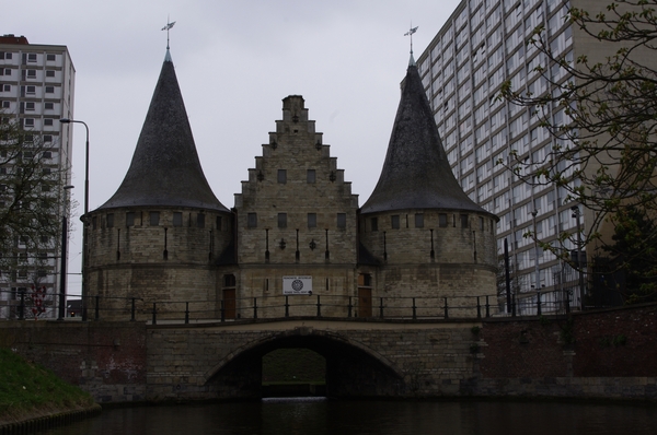 IMGP0735