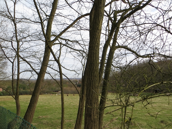 2013-04-16 Holsbeek 008