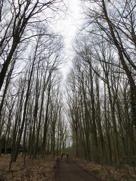 2013-04-16 Holsbeek 009