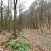 2013-04-16 Holsbeek 017