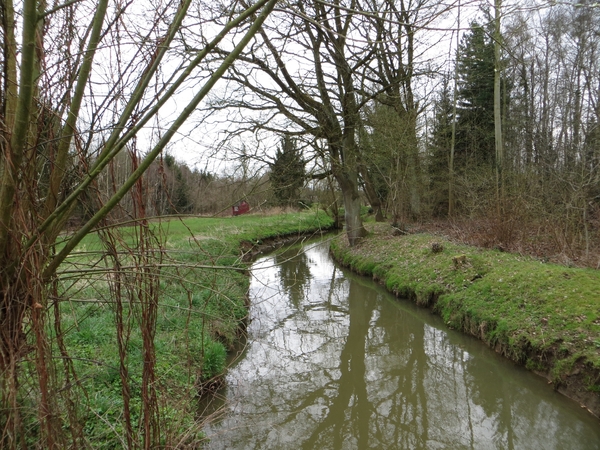 2013-04-16 Holsbeek 019