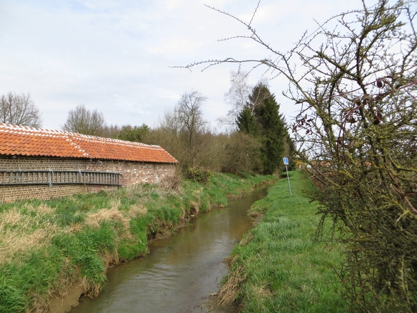 2013-04-16 Holsbeek 026