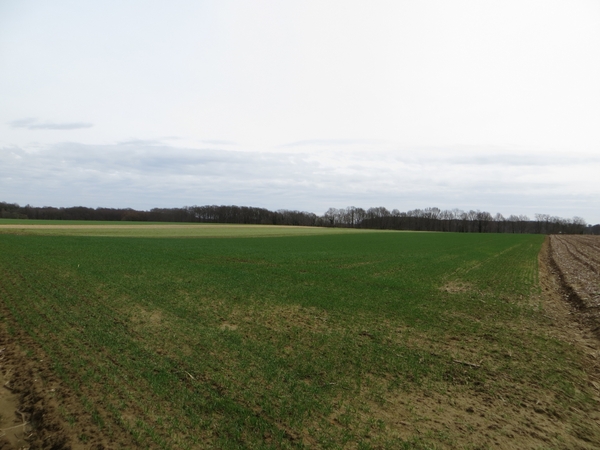 2013-04-16 Holsbeek 032