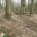 2013-04-16 Holsbeek 035