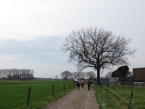 2013-04-17 Zottegem 014