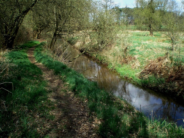 een klein Dommelke