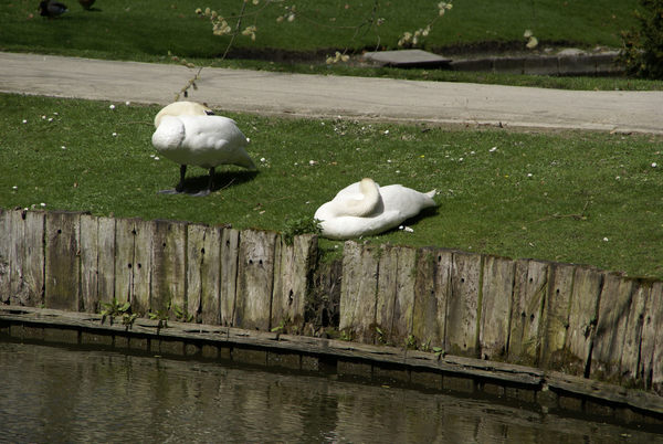 Wandeling naar Mechelen - 18 april 2013