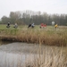 2013-04-21_BWU_Scheldeland 020