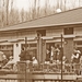 65_bewerkt-1