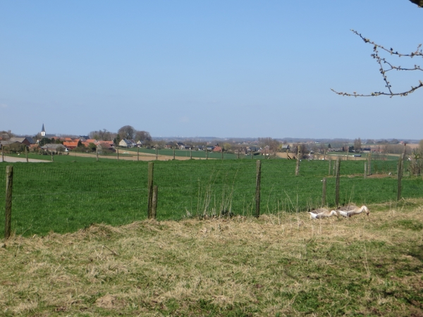 2013-04-20 Horebeke 007