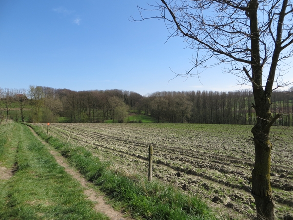 2013-04-20 Horebeke 013