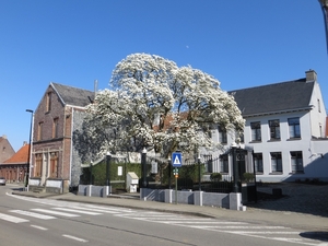 2013-04-20 Horebeke 023