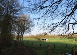 2013-04-21 Geraardsbergen 005