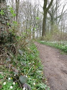 2013-04-21 Geraardsbergen 009