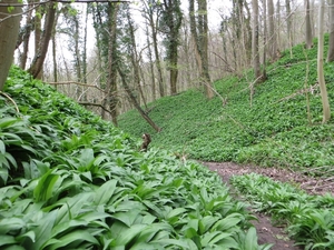 2013-04-21 Geraardsbergen 014