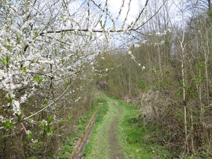 2013-04-21 Geraardsbergen 019