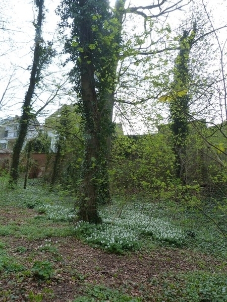 068-Abdijsite-St-Adriaans