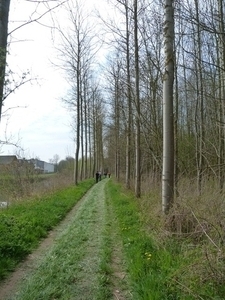 104-Langs wandelpad aan de Dender terug