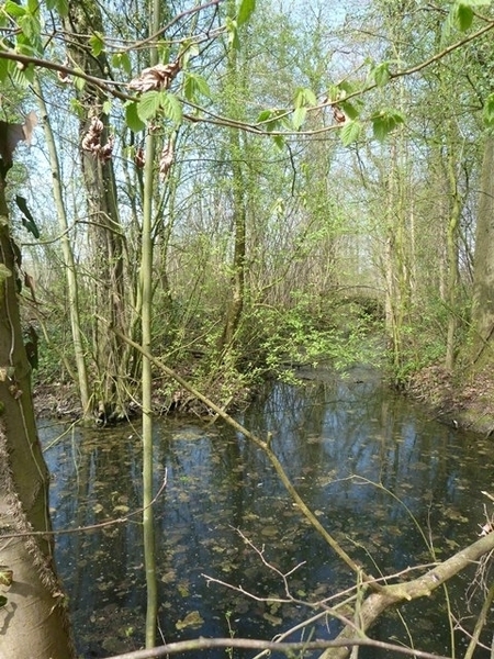 125-Domein Baronie van Boelare