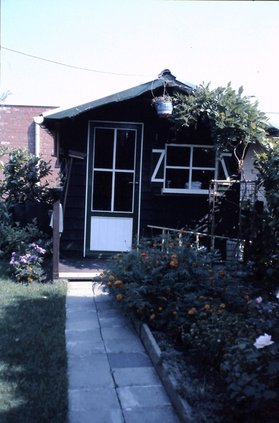 Image1
