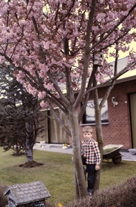 Image10