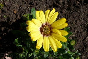 P1090769