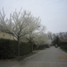 wandeling in Brasschhat 21-02013 001
