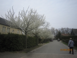wandeling in Brasschhat 21-02013 001