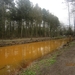 wandeling in Brasschhat 21-02013 002