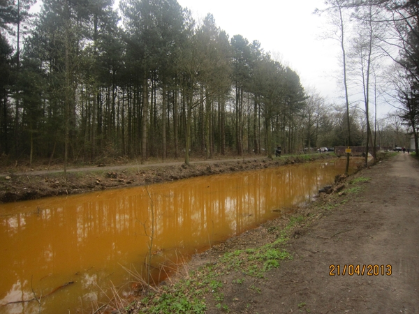 wandeling in Brasschhat 21-02013 002