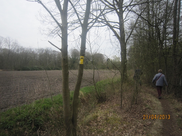 wandeling in Brasschhat 21-02013 007