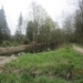 wandeling in Brasschhat 21-02013 009