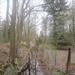 wandeling in Brasschhat 21-02013 011