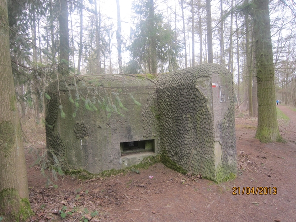 wandeling in Brasschhat 21-02013 014