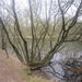 wandeling in Brasschhat 21-02013 019