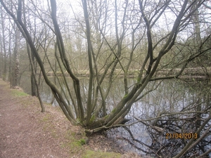 wandeling in Brasschhat 21-02013 019