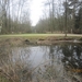 wandeling in Brasschhat 21-02013 021