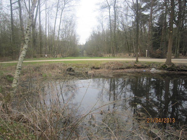 wandeling in Brasschhat 21-02013 021