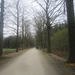 wandeling in Brasschhat 21-02013 027