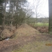 wandeling in Brasschhat 21-02013 028
