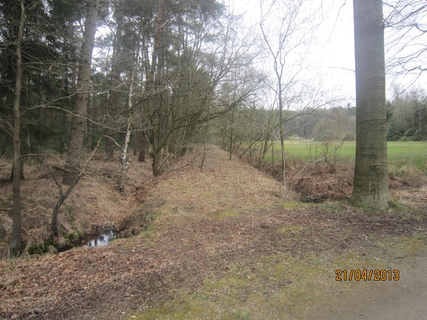 wandeling in Brasschhat 21-02013 028