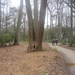 wandeling in Brasschhat 21-02013 038