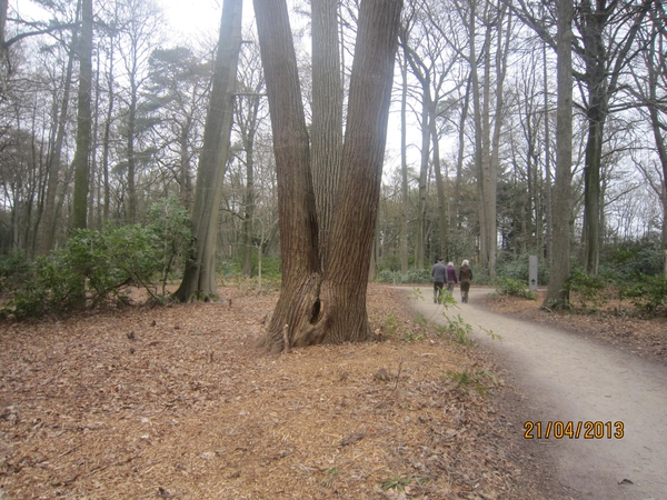 wandeling in Brasschhat 21-02013 038