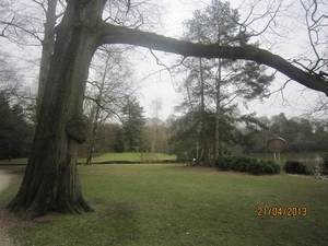 wandeling in Brasschhat 21-02013 042