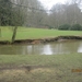 wandeling in Brasschhat 21-02013 043