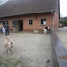 wandeling in Brasschhat 21-02013 047