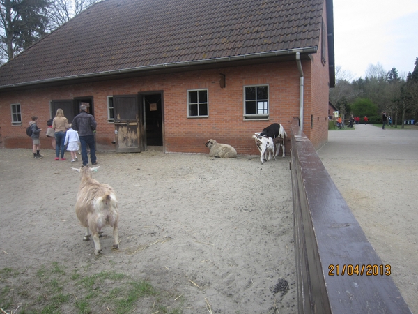 wandeling in Brasschhat 21-02013 047
